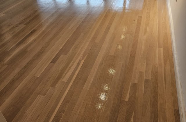 1000006873.jpg